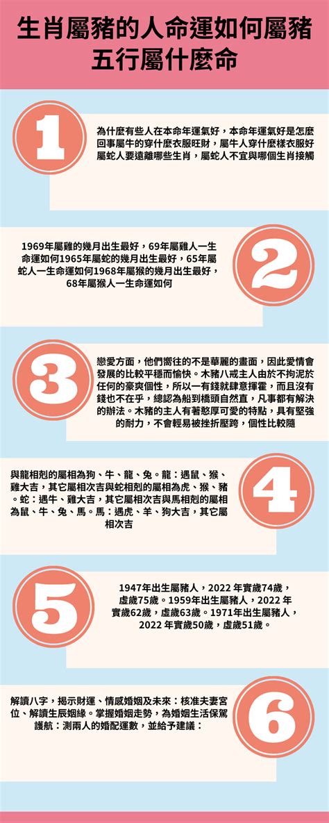 豬的生肖|【屬豬的人】屬豬的人完整解析！性格特質、生肖年齡對照，一次。